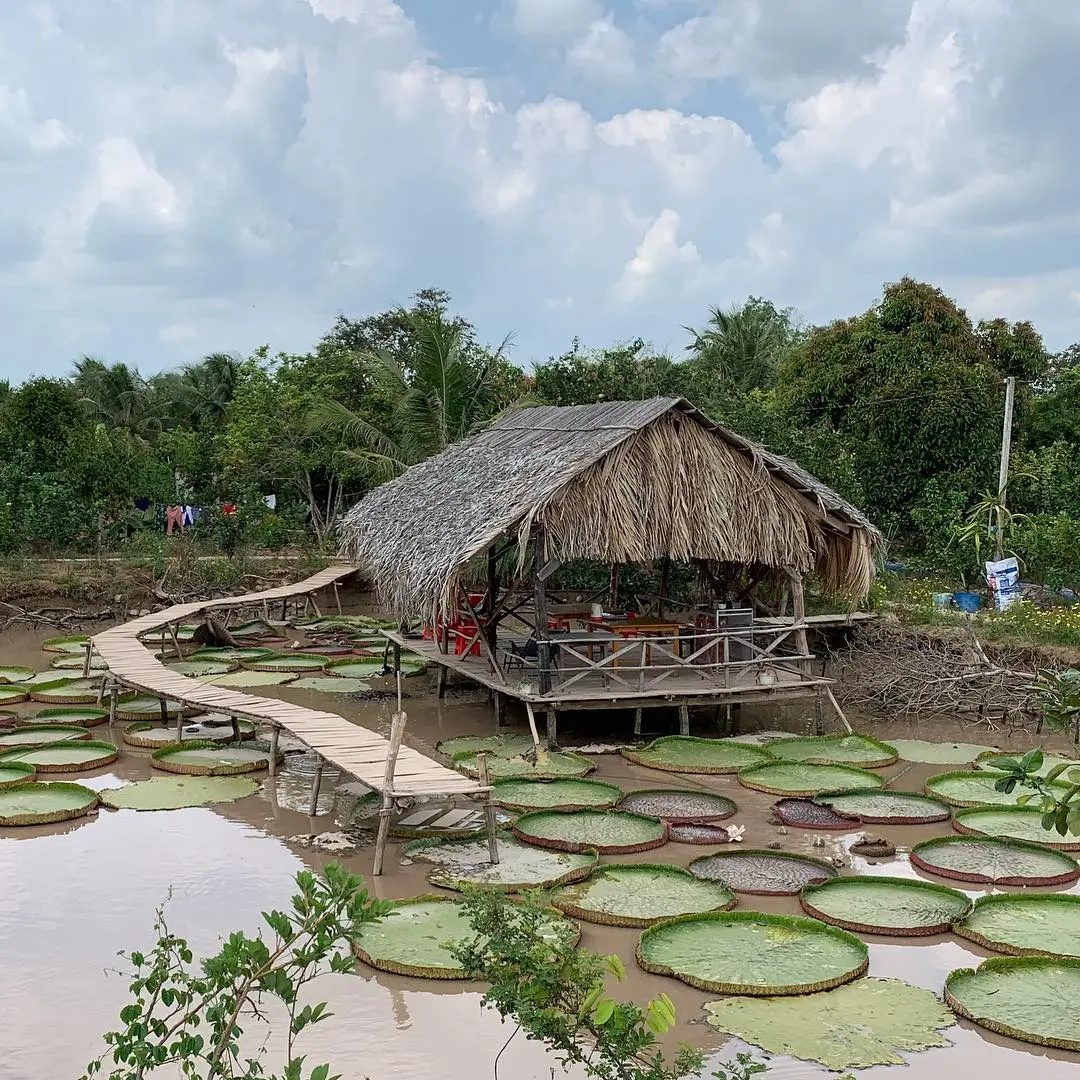 Lịch tr&igrave;nh Cần Thơ 2N1Đ tự t&uacute;c cực th&uacute; vị d&agrave;nh cho hội bạn th&acirc;n 3