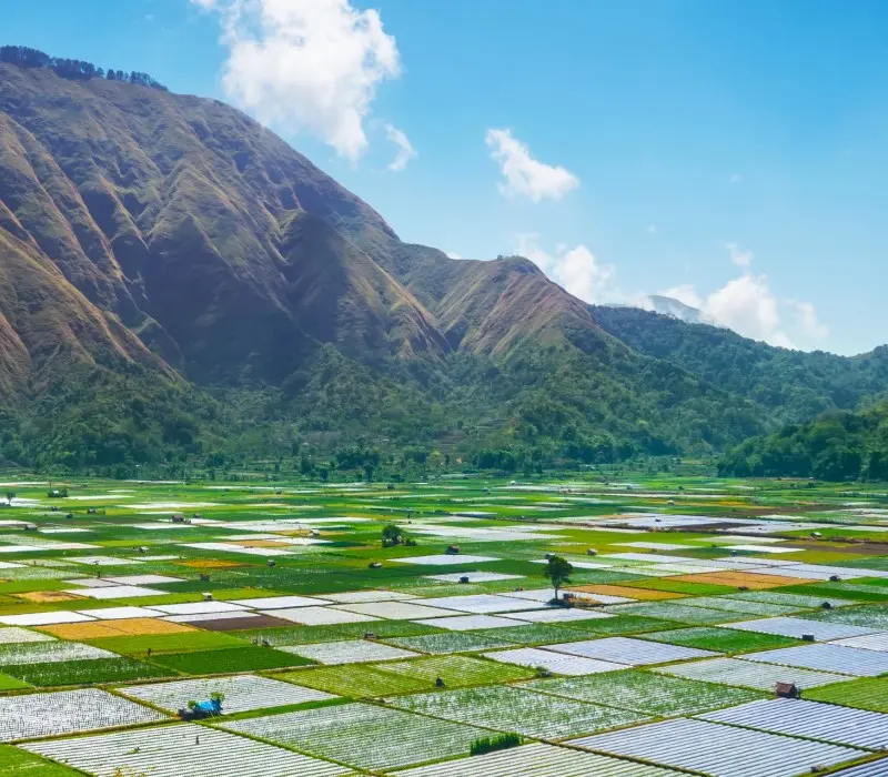 Chinh phục Đảo Lombok Indonesia với khung cảnh thiên đường