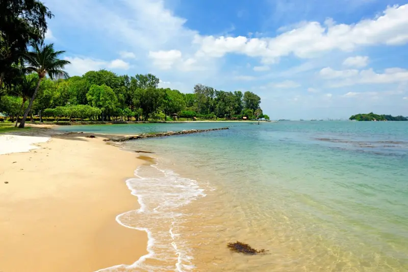 11 b&atilde;i biển Singapore đẹp nhất cho chuyến du lịch h&egrave; n&agrave;y 12