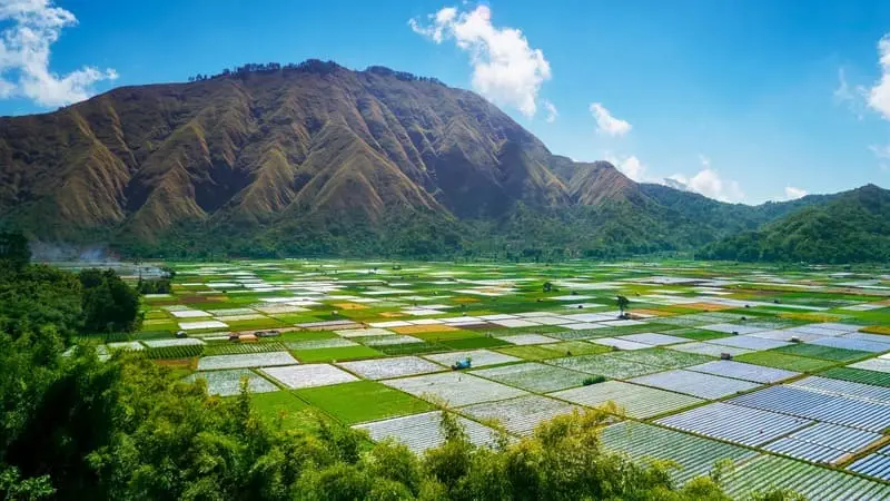 Chinh phục Đảo Lombok Indonesia với khung cảnh thi&ecirc;n đường 5