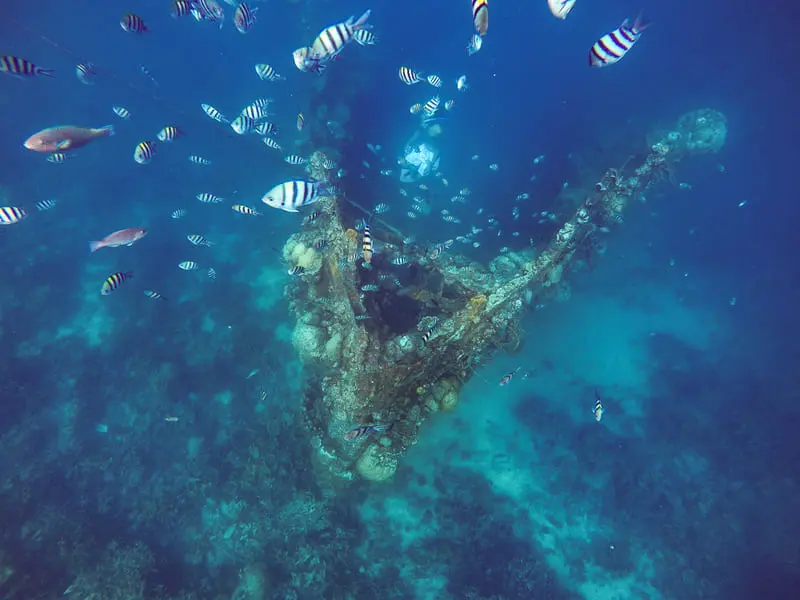 Coron Palawan, viên ngọc quý với sắc màu nguyên sơ của Philippines 9