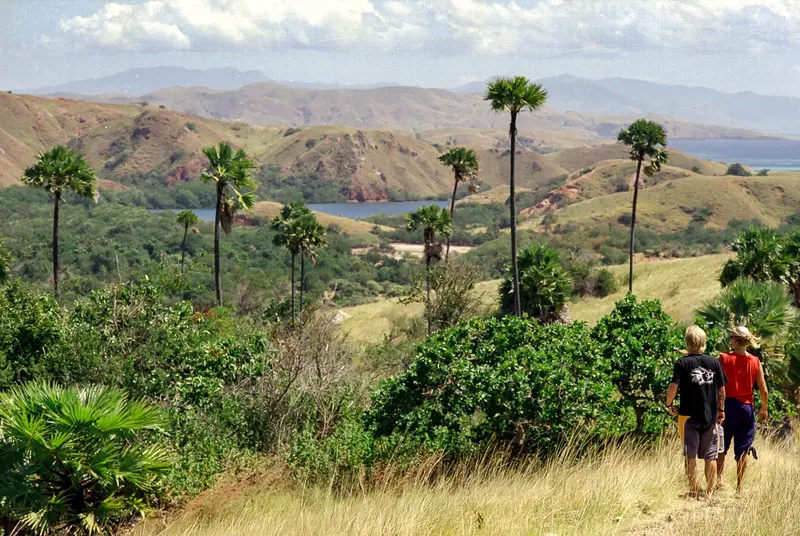 Đảo Komodo thi&ecirc;n đường của lo&agrave;i rồng độc đ&aacute;o tại Indonesia 6