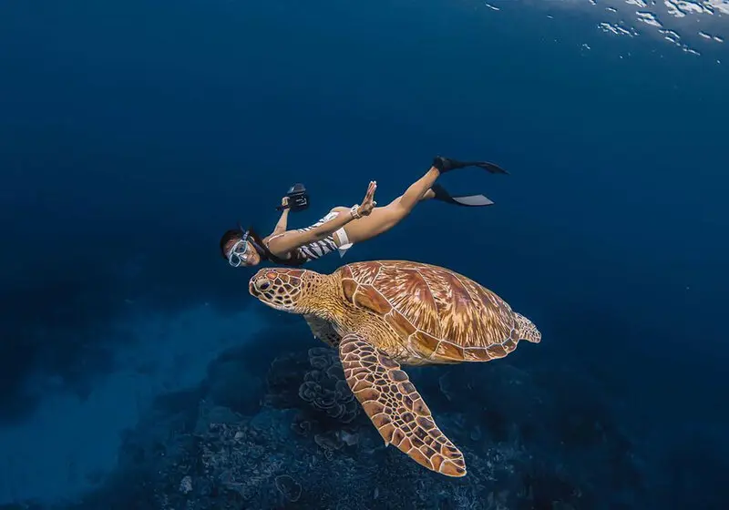 Đảo Komodo thi&ecirc;n đường của lo&agrave;i rồng độc đ&aacute;o tại Indonesia 9