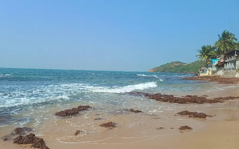 Du lịch Goa: Thi&ecirc;n đường biển v&agrave; văn h&oacute;a tại Ấn Độ 5