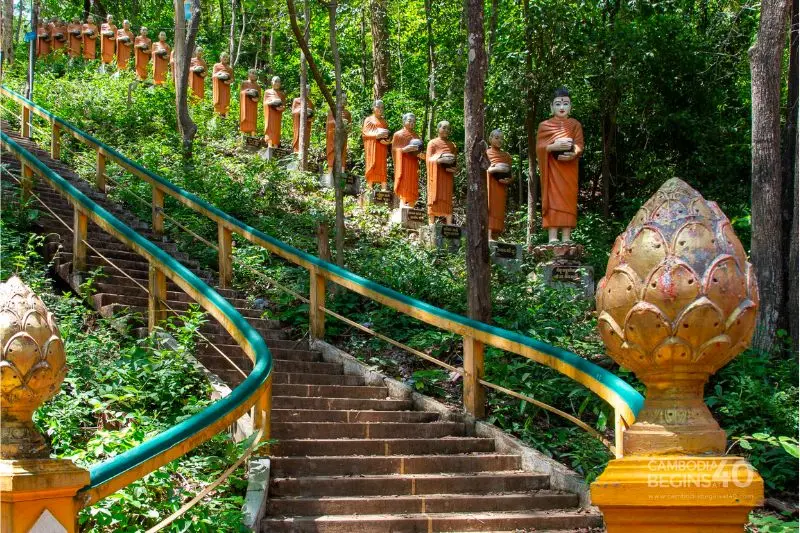 Du lịch Kratie ngắm cá heo nước ngọt Irrawaddy quý hiếm 7