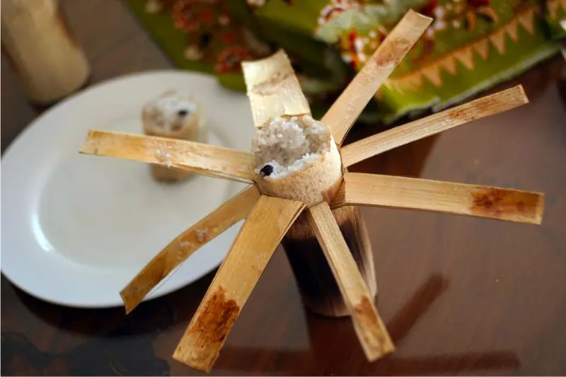 Du lịch Kratie ngắm cá heo nước ngọt Irrawaddy quý hiếm 10