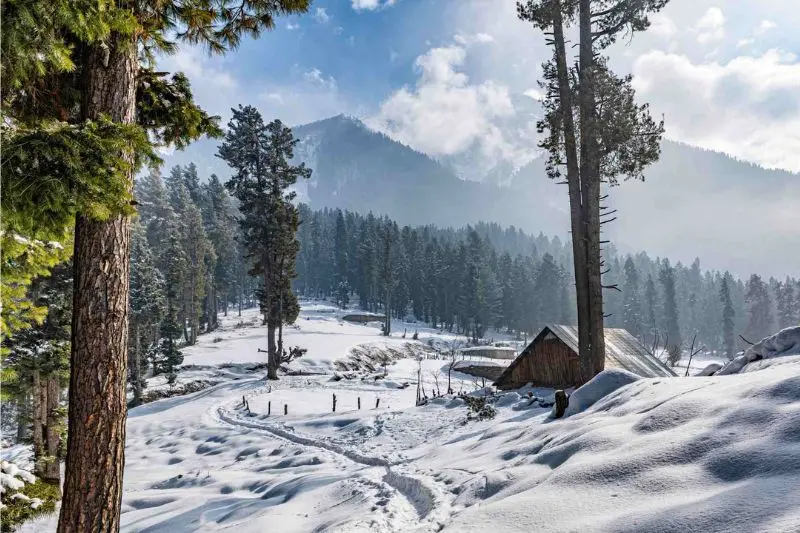 Du lịch Pahalgam thung lũng chăn cừu đẹp ngoạn mục tại v&ugrave;ng Kashmir 3