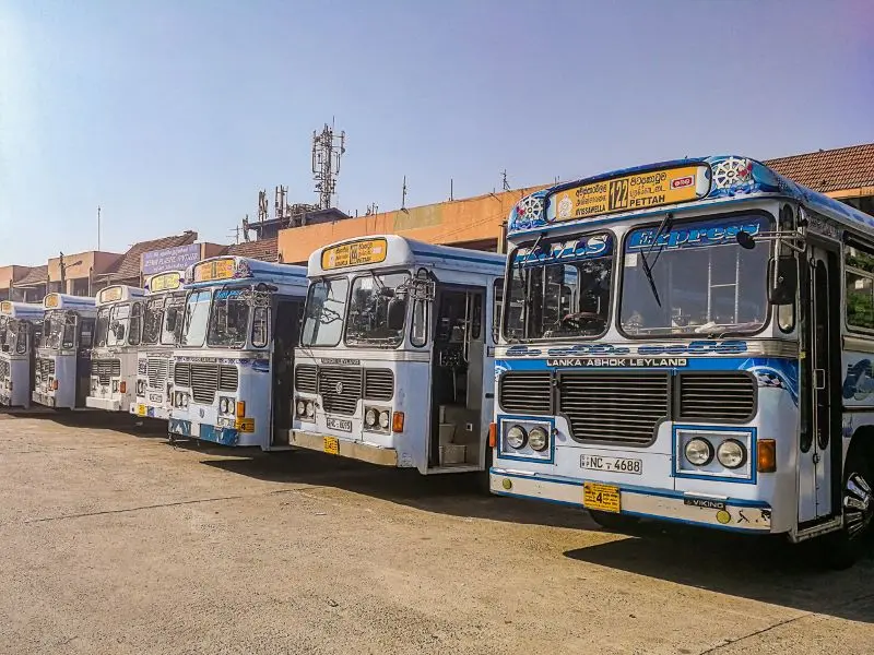 Du lịch Sri Lanka, đảo quốc y&ecirc;n b&igrave;nh ngo&agrave;i ngo&agrave;i khơi xa 5
