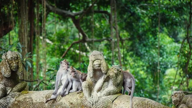 Du lịch Ubud Tết tận hưởng kh&ocirc;ng gian thi&ecirc;n nhi&ecirc;n tươi đẹp 5