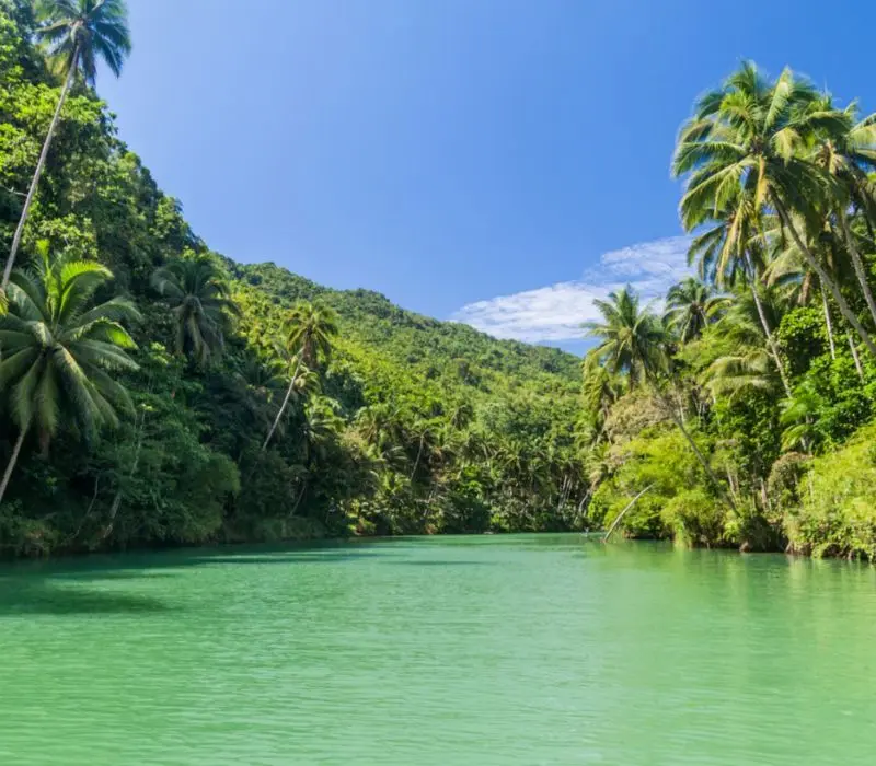 Hành trình du lịch đảo Bohol từ A đến Z cho người đi lần đầu 2