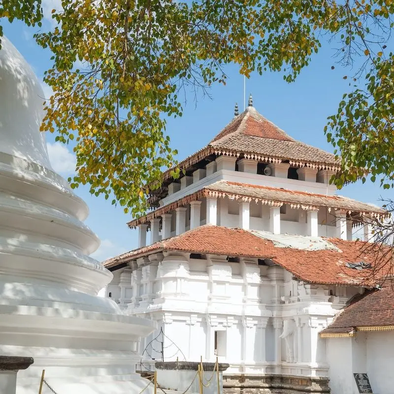 H&agrave;nh tr&igrave;nh t&igrave;m về Kandy, cố đ&ocirc; văn h&oacute;a của Sri Lanka 4