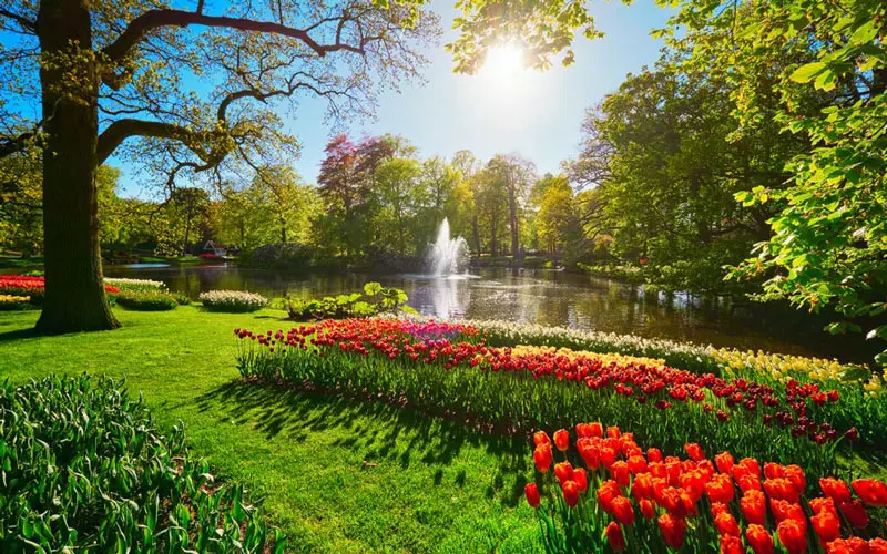 Kh&aacute;m ph&aacute; Lahore, th&agrave;nh cổ l&acirc;u đời v&agrave; tr&aacute;ng lệ nhất Pakistan 9
