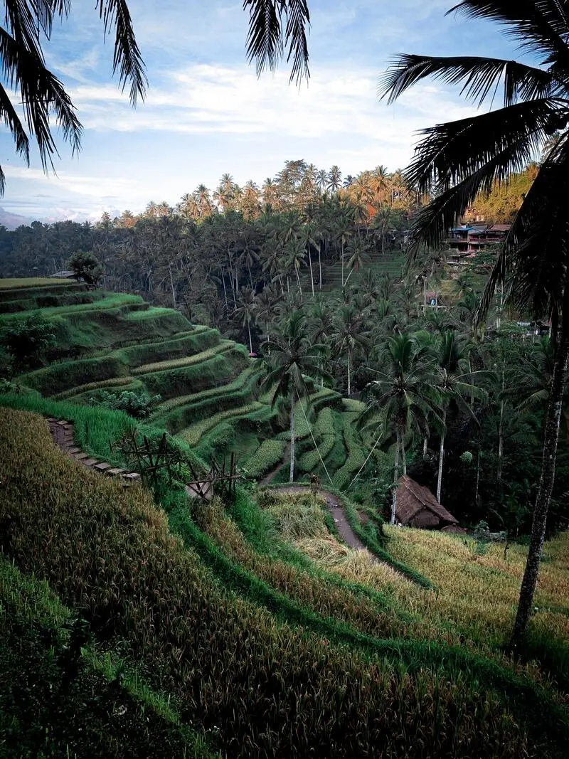 Kinh nghiệm du lịch Indonesia tự t&uacute;c từ A-Z, chinh phục xứ sở vạn đảo 8