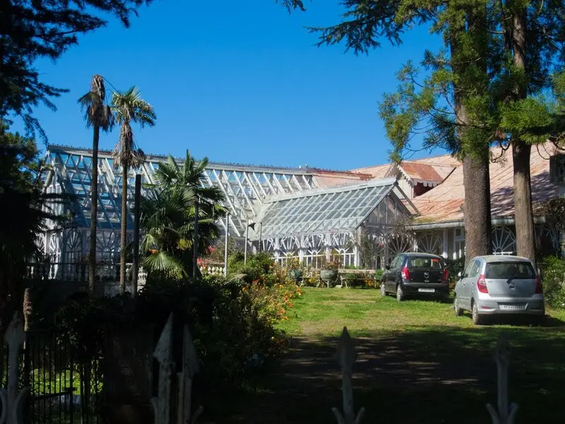 Shimla: Nữ hoàng của những ngọn đồi xanh ngút ngàn ở Ấn Độ 9