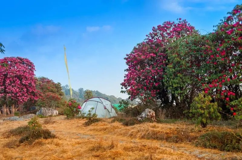 Sikkim, vi&ecirc;n ngọc ẩn b&ecirc;n những tu viện linh thi&ecirc;ng của Ấn Độ 10
