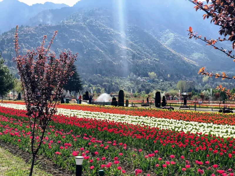 Srinagar: Thủ phủ m&ugrave;a h&egrave; giữa v&ugrave;ng Kashmir 10