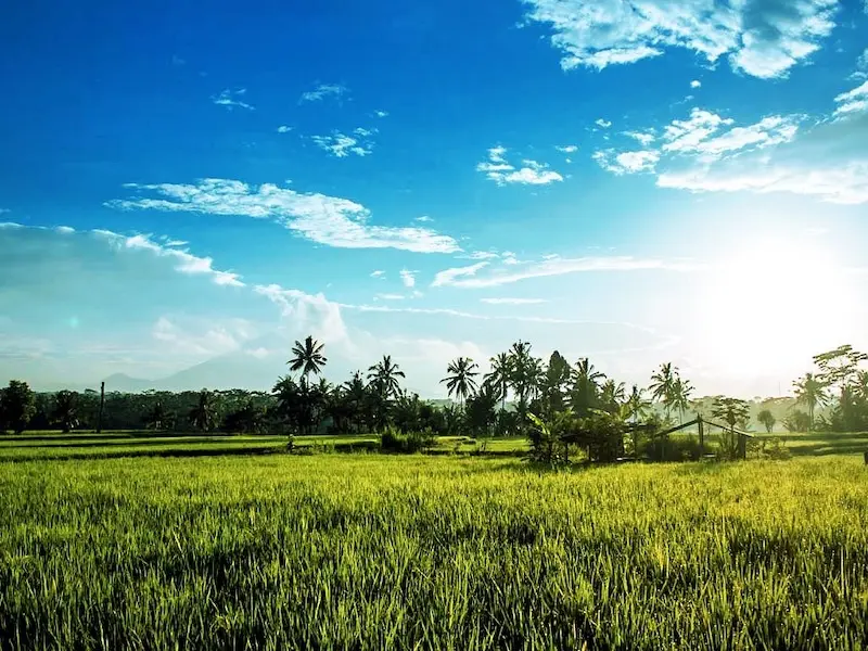 Tampark Siring v&agrave; 10 điểm tham quan nổi tiếng xa gần 3
