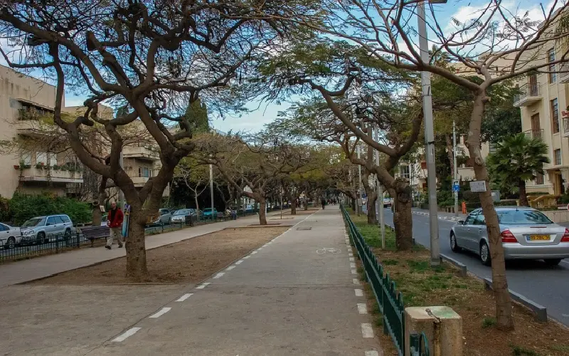 Tel Aviv: Th&agrave;nh phố kh&ocirc;ng ngủ giữa l&ograve;ng Israel hiện đại 8