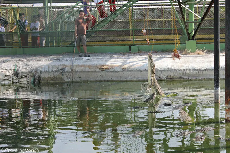 Th&agrave;nh phố Davao nhộn nhịp với nhiều điểm tham quan kỳ th&uacute; 5