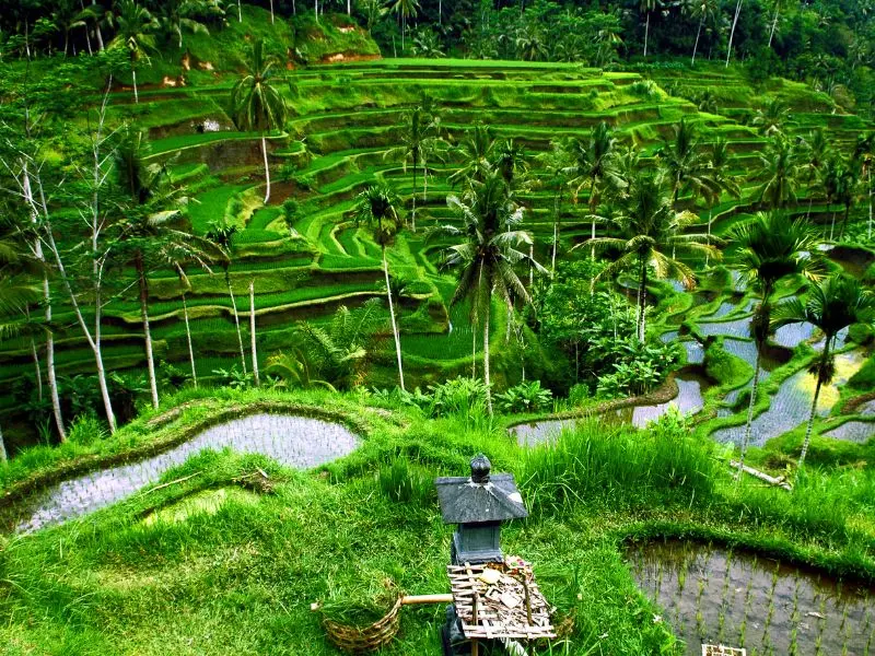 Top 15 điểm đến du lịch Châu Á tuyệt vời nhất cho bạn 5