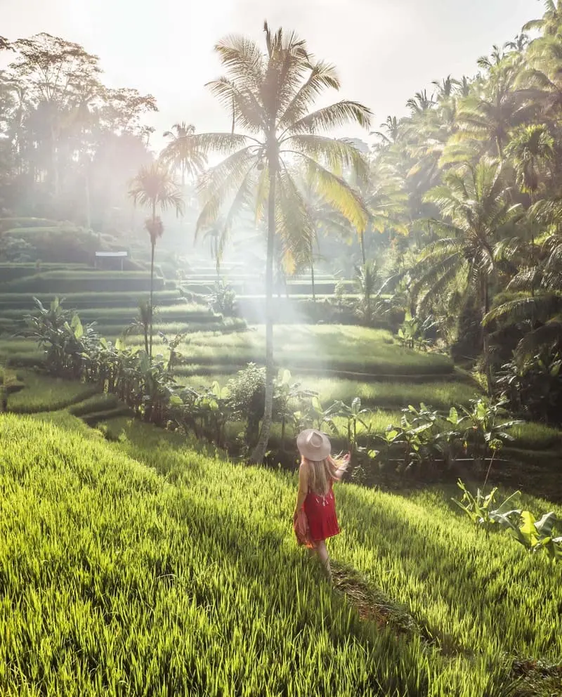 Trải nghiệm du lịch Ubud, nơi rực rỡ sắc m&agrave;u văn h&oacute;a bản địa Bali 5