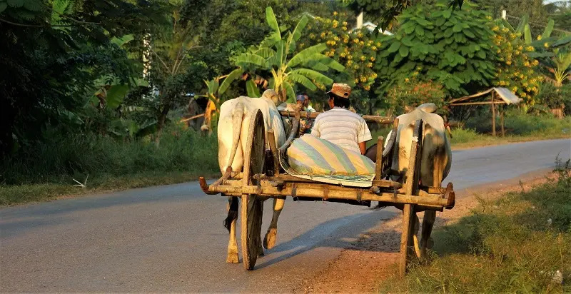 Vi&ecirc;n ngọc th&ocirc; Battambang y&ecirc;n ắng ẩn m&igrave;nh giữa l&ograve;ng Campuchia 6
