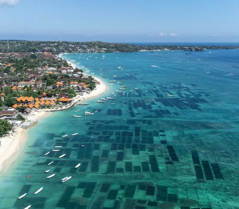 Tất tần tật kinh nghiệm du lịch đảo Nusa Lembongan tuyệt sắc