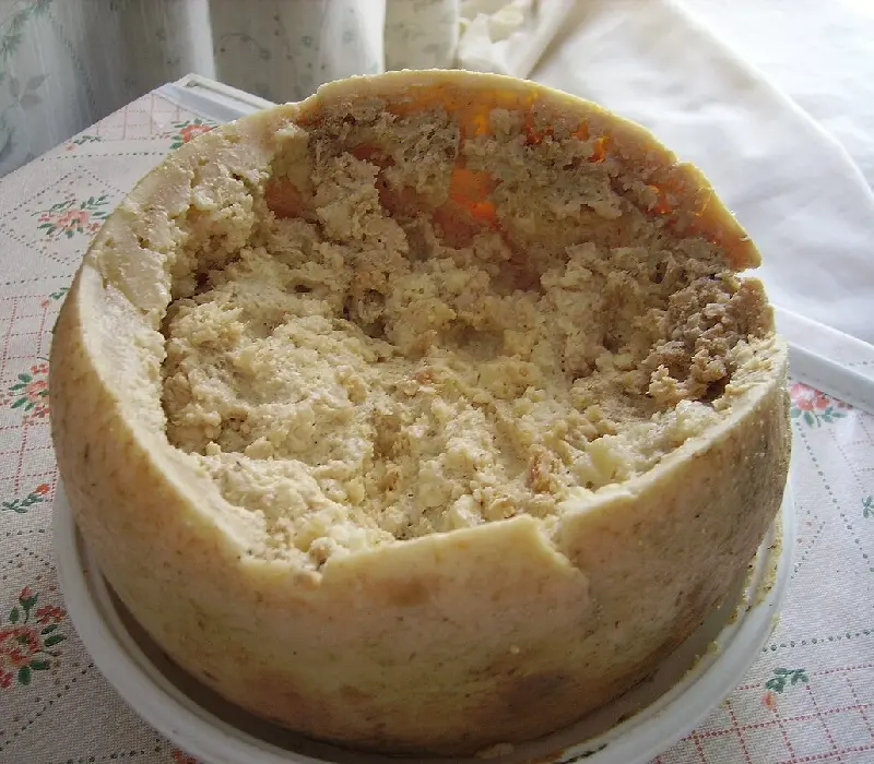 Casu Marzu: Phô mai giòi 'nguy hiểm' nhất thế giới từ Sardinia, Ý
