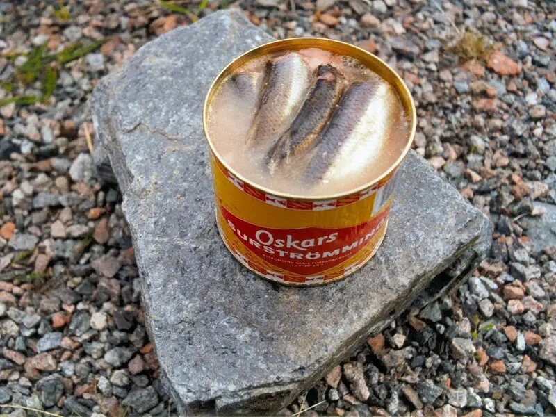 Cá trích thối Surströmming đặc sản đáng sợ của Thụy Điển 2