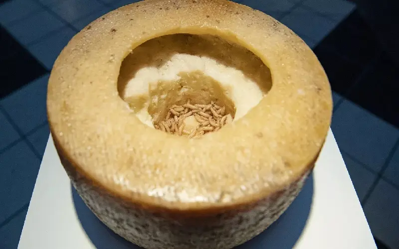 Casu Marzu: Phô mai giòi 'nguy hiểm' nhất thế giới từ Sardinia, Ý 5