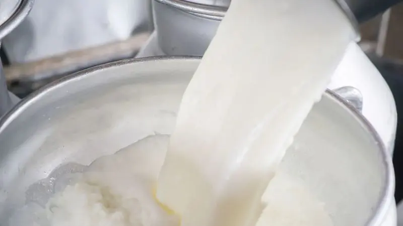 Hảo hạng hương vị ph&ocirc; mai Parmesan đến từ nước &Yacute; 4