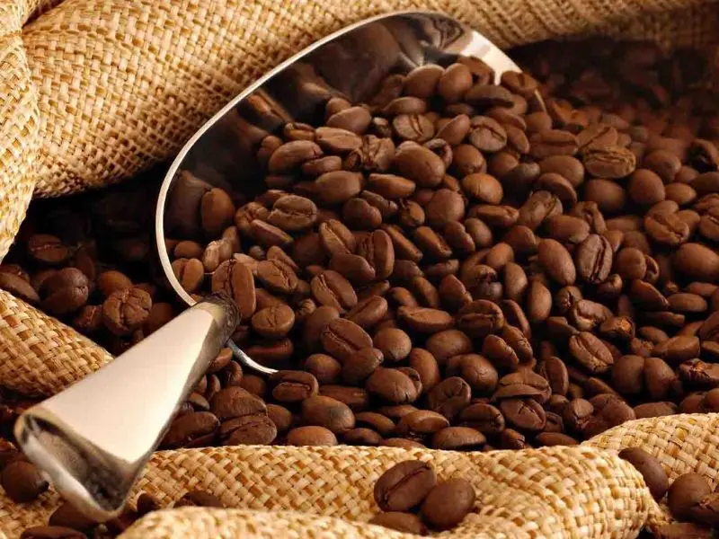 Ristretto l&agrave; g&igrave;? C&aacute;ch pha v&agrave; thưởng thức chuẩn vị &Yacute; tại nh&agrave; 5