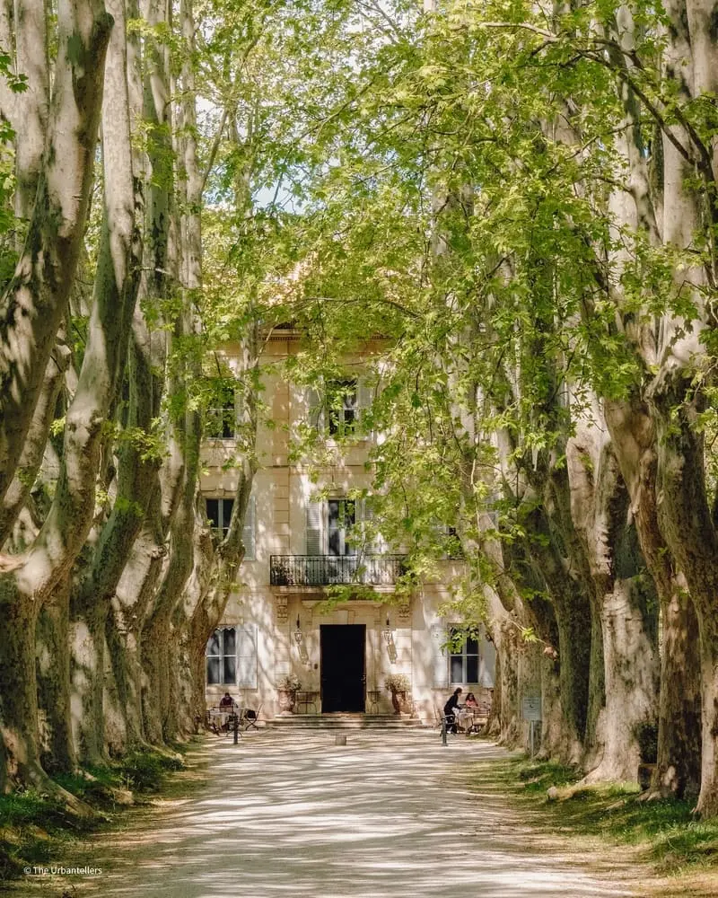 Aix en Provence, th&agrave;nh phố cổ điển nơi miền Nam nước Ph&aacute;p 3