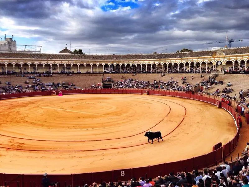 Đến Seville kh&aacute;m ph&aacute; 10 địa điểm tham quan th&uacute; vị, độc đ&aacute;o 11