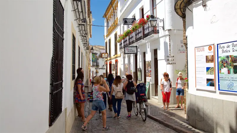 Du lịch Andalucia, kh&aacute;m ph&aacute; v&ugrave;ng đất lịch sử rực rỡ của T&acirc;y Ban Nha 4