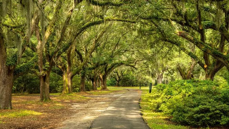 Du lịch Charleston, khám phá thành phố thân thiện nhất thế giới 4