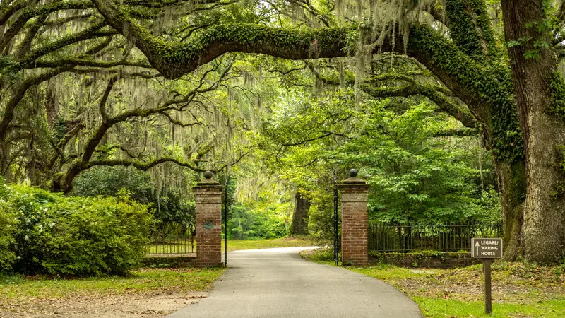 Du lịch Charleston, khám phá thành phố thân thiện nhất thế giới 10