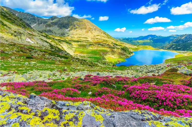 Du lịch Romania sống lại lịch sử văn h&oacute;a ch&acirc;u &Acirc;u 4