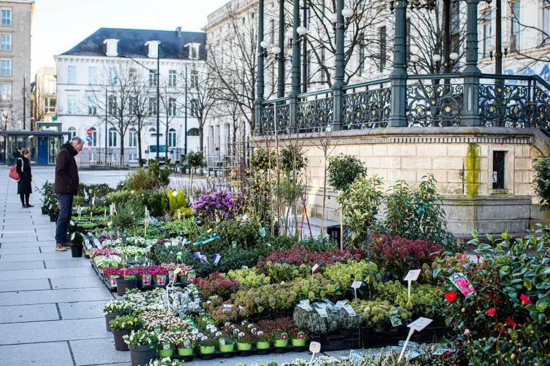 Ghent, v&ugrave;ng đất cổ k&iacute;nh của Bỉ với nhiều trải nghiệm th&uacute; vị 12