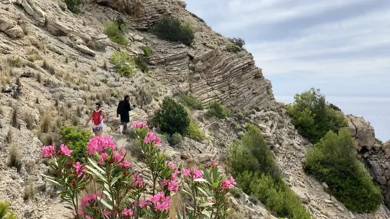 Ibiza, T&acirc;y Ban Nha: H&ograve;n đảo của hai sắc th&aacute;i b&igrave;nh y&ecirc;n m&agrave; sống động 8