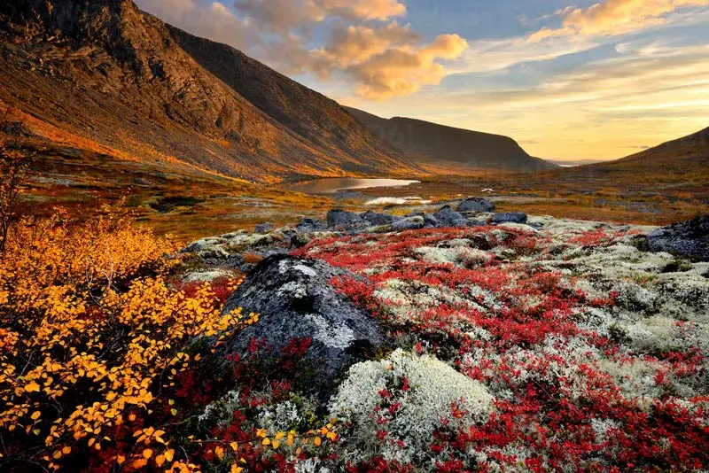 Khám phá Murmansk, địa điểm ngắm cực quang đẹp nhất của Nga 10