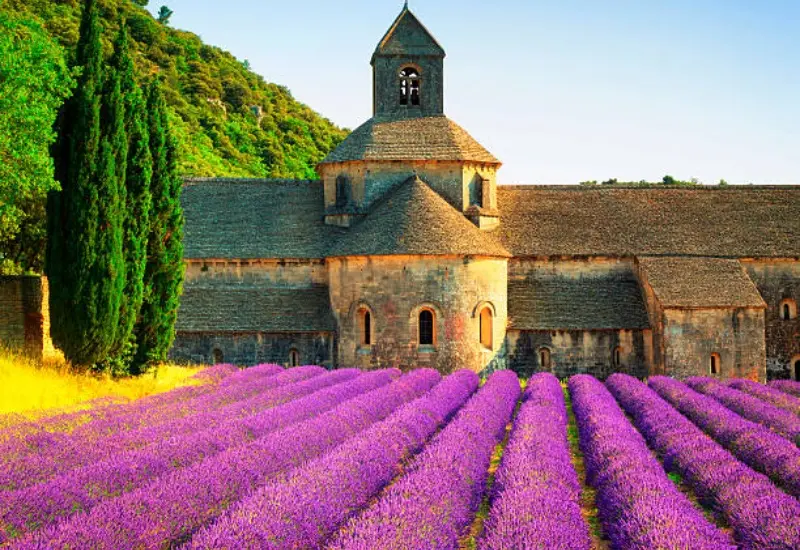 Kh&aacute;m ph&aacute; Provence: Th&agrave;nh phố mộng mơ, l&atilde;ng mạn của Ph&aacute;p 12