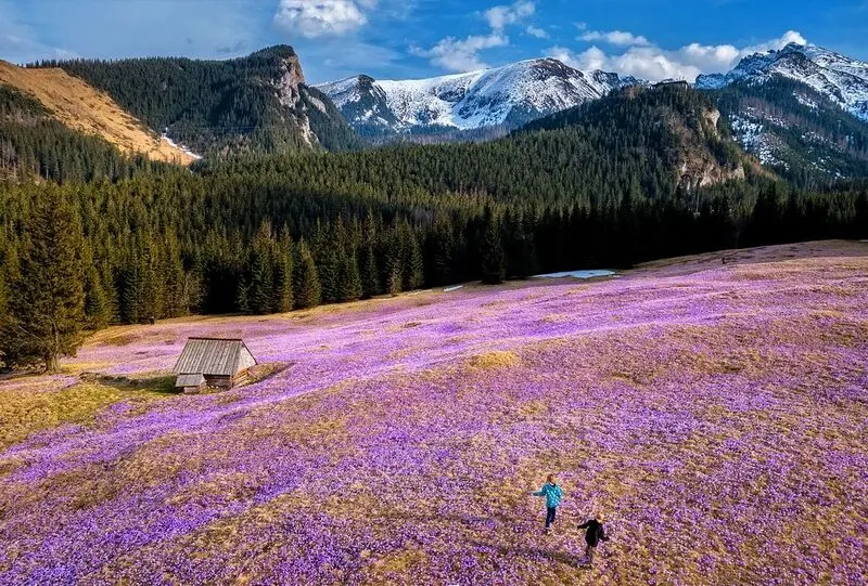 Khám phá Zakopane, thị trấn tuyệt đẹp dưới chân núi Tatra 10