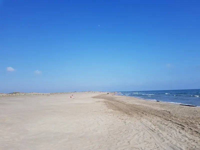 Montpellier, Ph&aacute;p: Th&agrave;nh phố của &aacute;nh nắng ấm b&ecirc;n bờ Địa Trung Hải 12