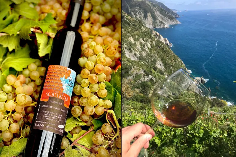 Ng&ocirc;i l&agrave;ng Manarola: Vi&ecirc;n ngọc sắc m&agrave;u b&ecirc;n bờ biển &Yacute; 7