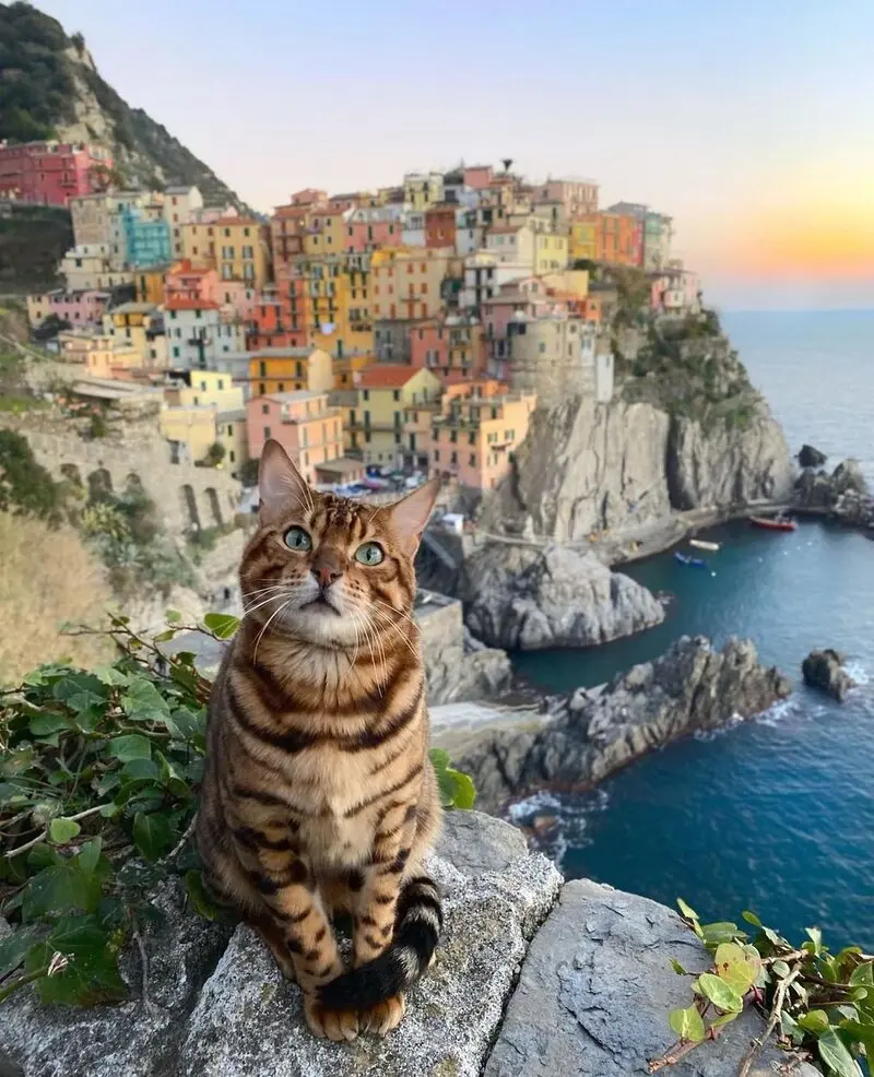 Ng&ocirc;i l&agrave;ng Manarola: Vi&ecirc;n ngọc sắc m&agrave;u b&ecirc;n bờ biển &Yacute; 5