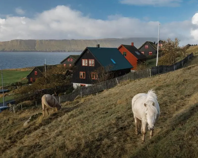 Quần đảo Faroe, thiên đường đảo ngọc bên bờ Đại Tây Dương 6