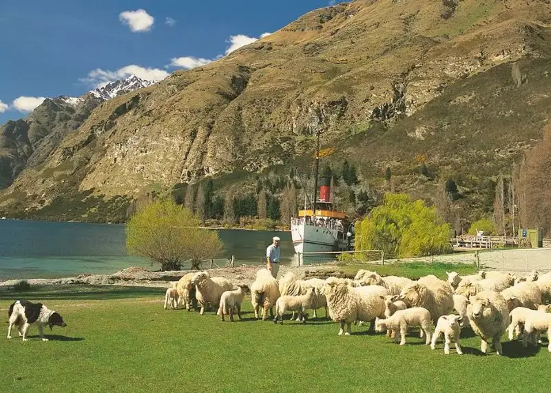 Queenstown thành phố Nữ hoàng của xứ New Zealand 8