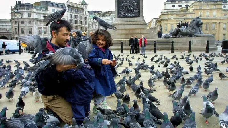 Trafalgar Square, dấu ấn kiến tr&uacute;c nơi tr&aacute;i tim London 7