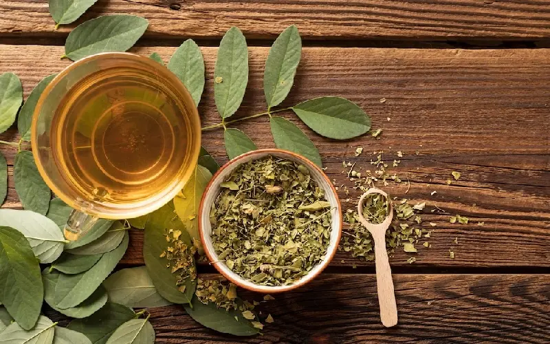 Tr&agrave; Yerba Mate: M&oacute;n thảo mộc tiếp năng lượng số 1 Nam Mỹ 12
